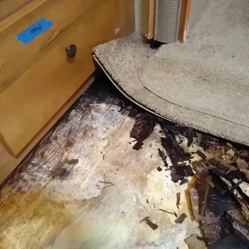 Best Wood Floor Water Damage Service in Carroll County, IN